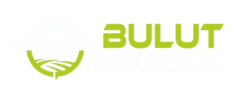 Bulut Havacılık